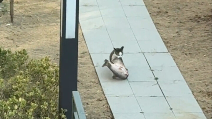 ทรัพย์สินจำนวนมหาศาลที่มาที่ไปไม่ชัดเจน