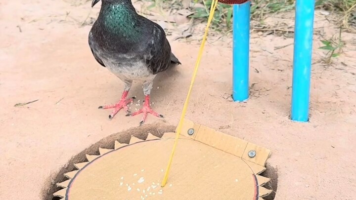 [World Curiosities Commentary] Updated! Come check it out now!