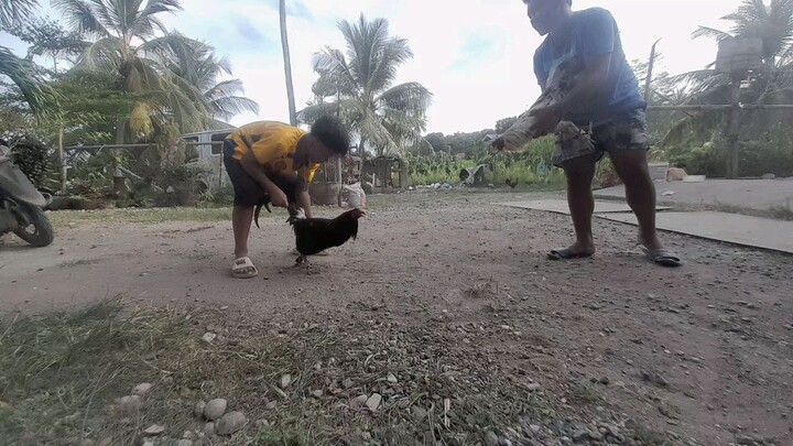 warren high vs tabas