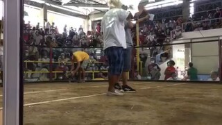 sante gameyard 2 fight win