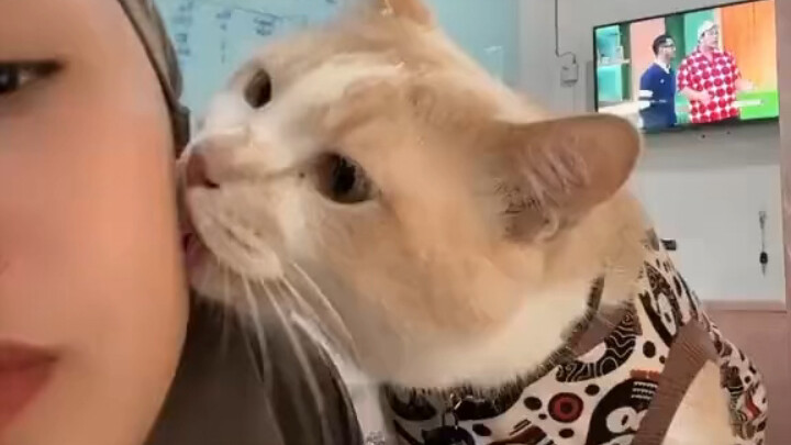 Cat: It's my fault—my big mouth got me into trouble.