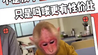 给爸妈带孙子的建议：让马龙来帮忙！