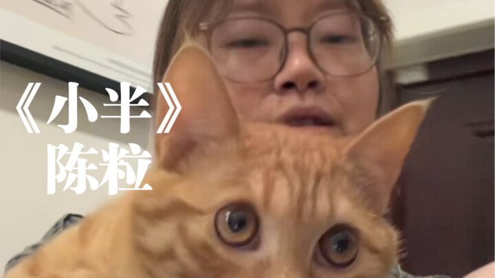 My heart borrows your light—will it be bright or dim…? | Cover of “Xiao Ban” by Chen Li