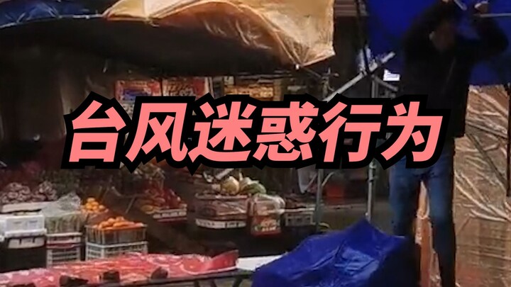 【Xige】Typhoon Confusing Behavior