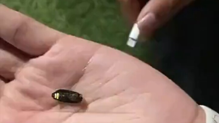 اليراع: هل هذا الشاحن اشتريته لي؟