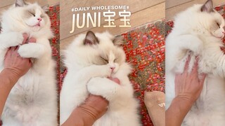 น้องจูนี่ต้องรักคุณแม่มากๆแน่ๆเลย😭😭😭