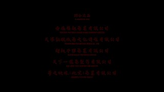 ip man 5