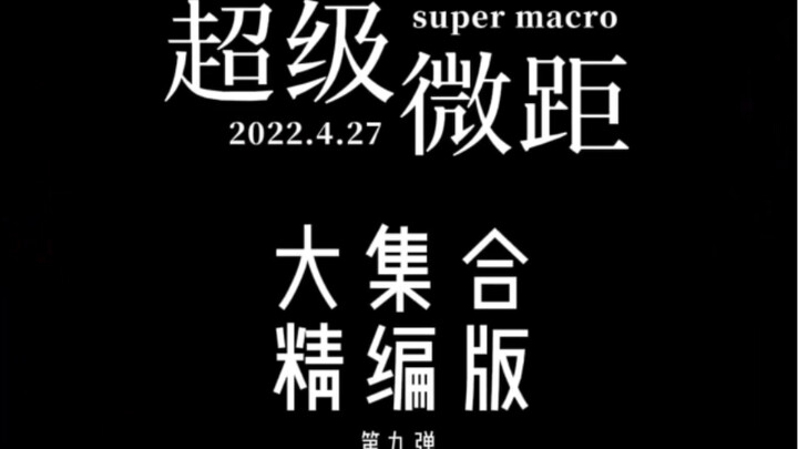 超级微距（精编版）