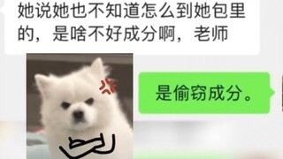 عنصر السرقة، الرواية الممتعة للعام