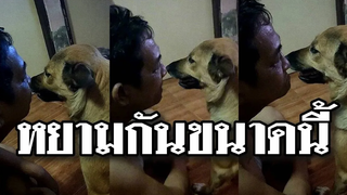 @Awesome Videos ยอมใจเอ็งจริงๆ มีความอดทนสูงมาก โดนหยามขนาดนี้ยังเฉยอยู่ได้