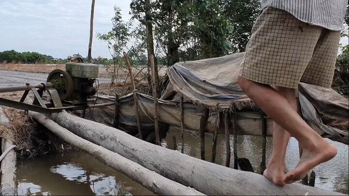Ra Ruộng Che Chòi Đi Móc Ếch,Bắt Cua Sinh Tồn Cùng Chú Út.Góc Làng Quê