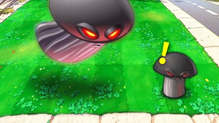 Đến thế hệ thứ hai, có lẽ tôi sẽ tốt hơn.