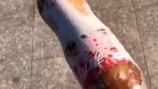 无所不能的外卖小哥，一定要看到最后，看到最后我哭了