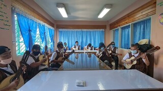Philippine Rondalla Serenata Cover- Cariñosa