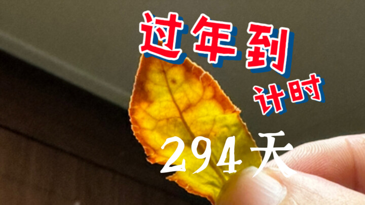 Yours is called Taiping Houkui—so what do you call mine?