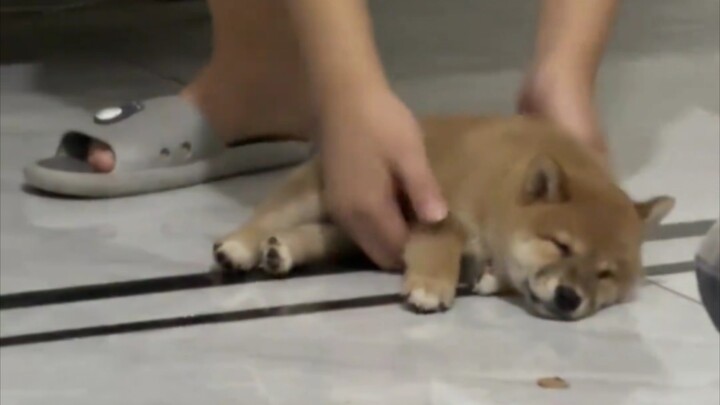 “Forced Power-On”