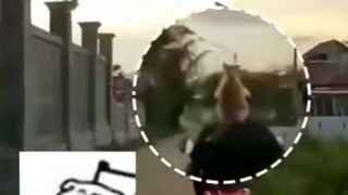 ركب المالك الدراجة النارية ونادى بصوتٍ عالٍ "يا برتقالة صغيرة!" فتبعته القطة البرتقالية بتناغم تام و