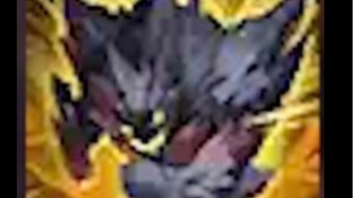 โอ้ย ช่างมันเถอะ ！！！