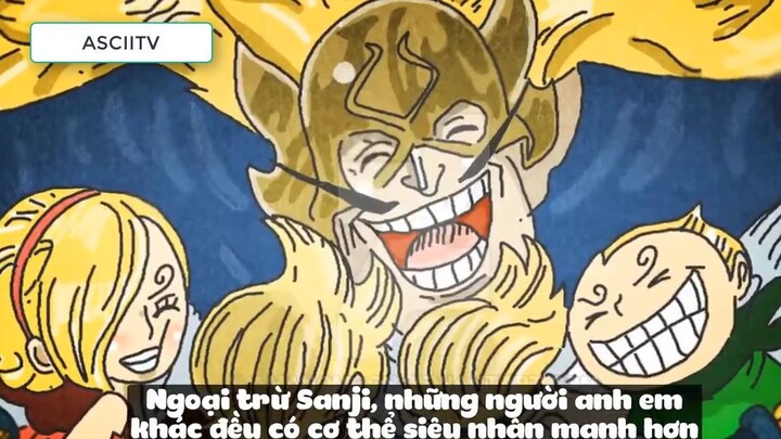 Top 10 Người Thông Minh Nhất One Piece 12 6