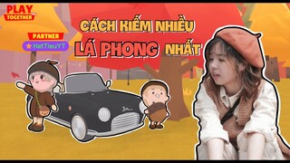 Play Together | Hướng Dẫn Cách Bắt Được Nhiều Lá Phong Nhất Nhận Nhiều Quà Xịn | Hạt Tiêu Play