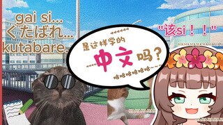 【Ya酱/熟肉】Ya酱看一位日本妈妈来到中国后她发生的变化【猫meme】