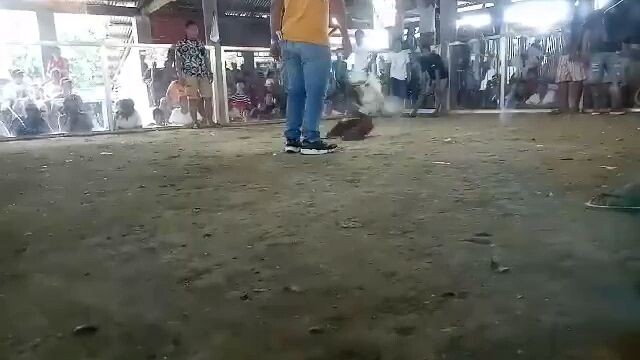 pa 4x sana patay nga lng
