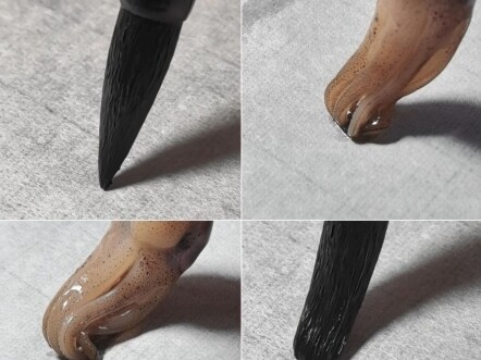 Thư pháp vào đời sống: Giải pháp cho người mới bắt đầu với bút lông cứng, dễ bị “tóc rối”!