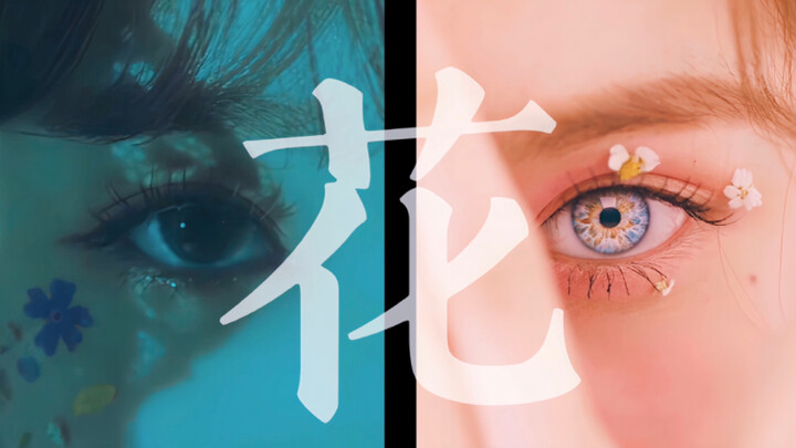 100 Shots of Flowers | Girl Idols & Female Solo Artists