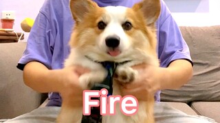 Boss Pi Hot Dance丨Fire