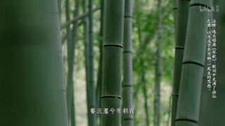 sub自制-万物皆为道