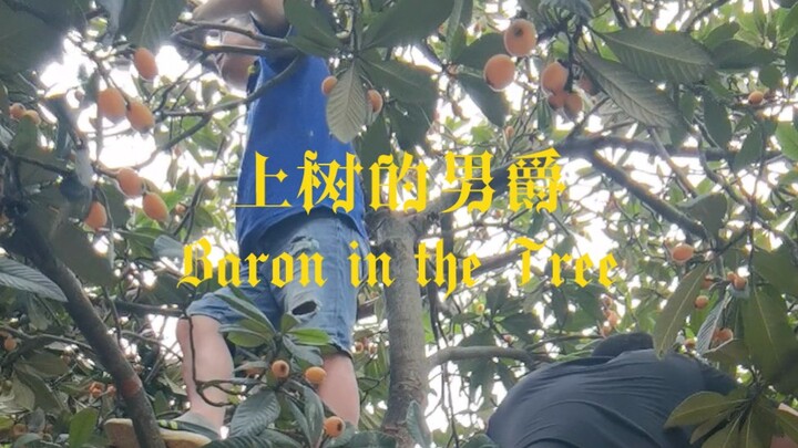 เปิดมุมมองชีวิตประจำวันในชนบทด้วยสไตล์มหากาพย์อังกฤษ – “คนพิเศษจากหูเป่ย: บารอนนักปีนต้นไม้”