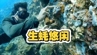 หอยนางรมเป็นอาหารที่น่าสนใจ