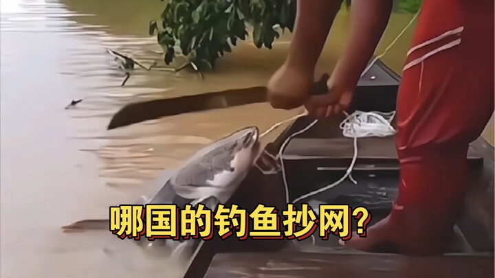 Lưới vớt cá của nước nào vậy? Tôi còn tưởng đang rèn sắt cơ…