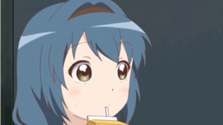 Bunga matahari, apa kamu mengetahuinya dengan baik? Tanyakan saja pada adikmu apakah dia punya pacar