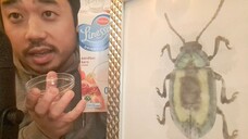 ASMR STRAWBERRY CHERRY YOGHURT FINGER LICK & AIR TRACING PHOTO FRAME ARTWORK