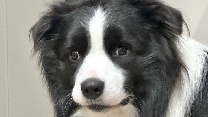 “Mẹ ơi, sao mẹ lại cho tay vào miệng con vậy?”