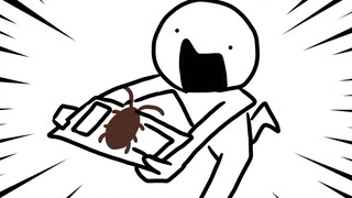 Boohoo! We found cockroaches!