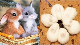 AWW SO CUTE! Cutest baby animals Videos Compilation Cute moment of the Animals - Cutest Animals #2