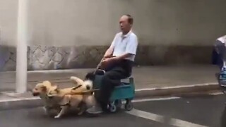 لقد انتهى الأمر، مع هذه الابتسامة الواحدة، كل سنواتي العشر من الفضل قد مضت!