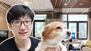 What is it like to live in a villa for a year?