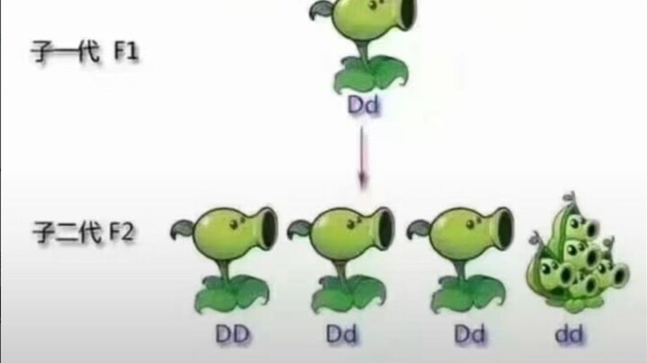 243 ثانية تكشف لك ما هي “قوانين التهجين” 🤤🤤