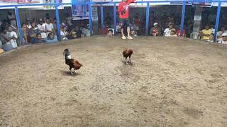 Villanueva  cockpit arena 3x winner