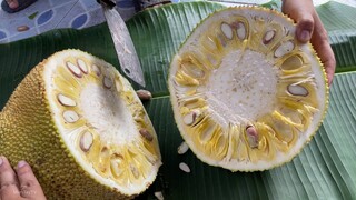 Ăn chân gà hấp hành và mực xào dưa leo cần tây | mientaytv