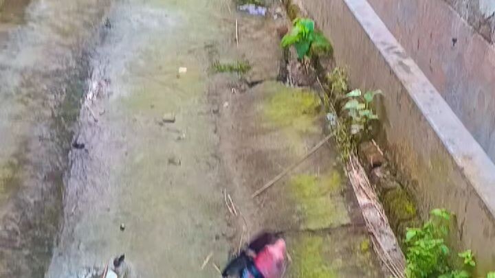 আমি  ভালো আছি  আর আমাকে কেমনলাগছে