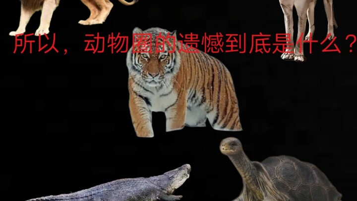 แล้วความเสียดายในวงการสัตว์กันแน่คืออะไรกันนะ?