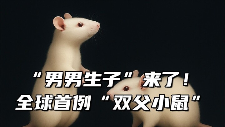 A real-life “male‑male reproduction” has arrived! A team from Shanghai Jiao Tong University has crea