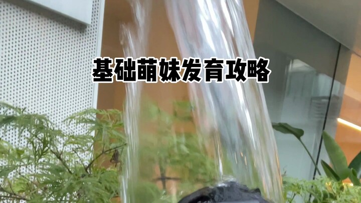 دليل تطوير الفتاة الظريفة المبتدئة!