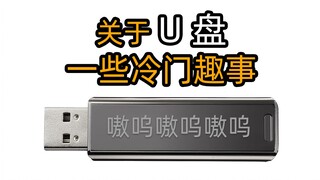 关于U盘 一些冷门趣事