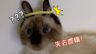 "تعطل Logic Cat"