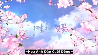 Hoa Anh Đào Cuối Đông EP 07 [Sub Việt]